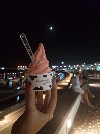 Mucca