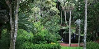 Jardim António Borges