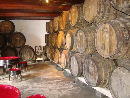 Museu do Vinho dos Biscoitos