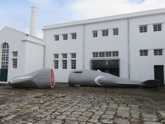 Museu da Fábrica da Baleia do Boqueirão