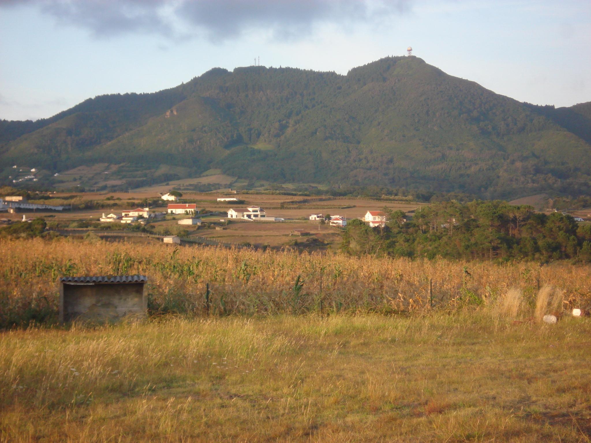Pico Alto