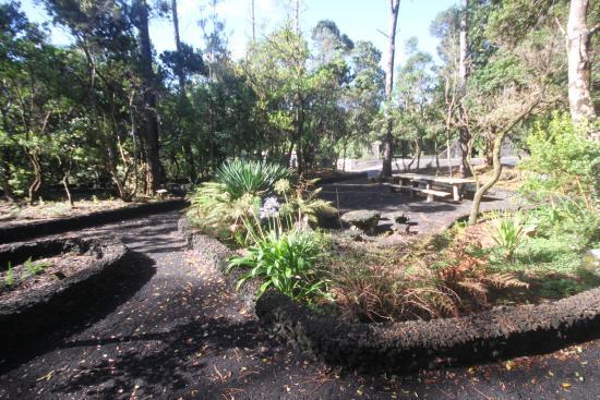Parque Florestal do Capelo