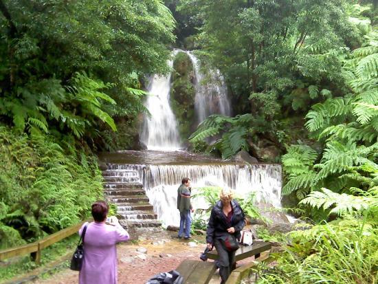 Green Visions Tours