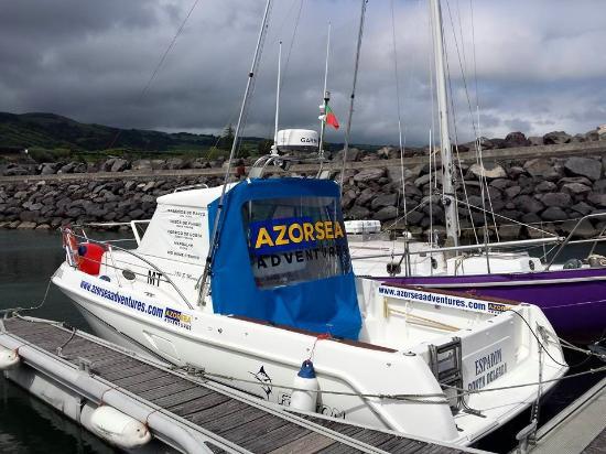 AzorSea Adventures