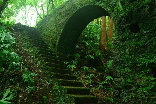 Green Corner Tours