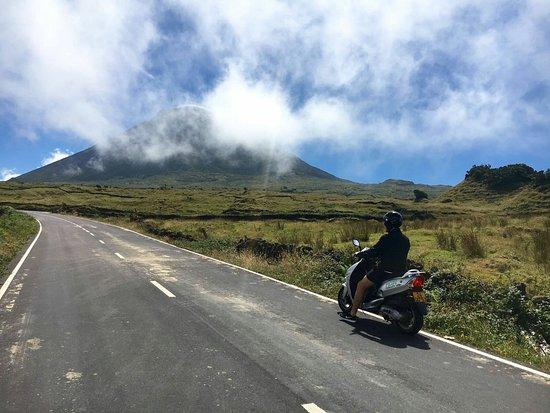 Pico447 Bike & Scooter Rental