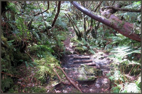 Misterios do Sul do Pico Trail