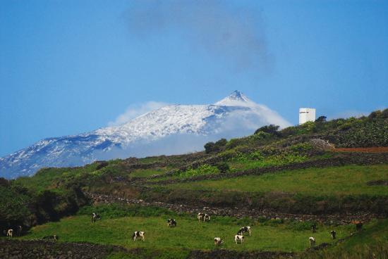 Vigia da Queimada