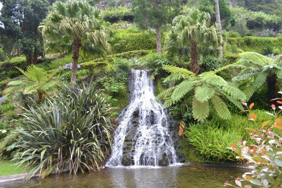 Garden of Quinta Do Moinho