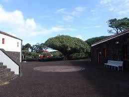 Museu do Vinho