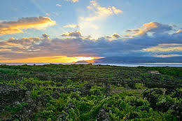Paisagem da Cultura da Vinha da Ilha do Pico