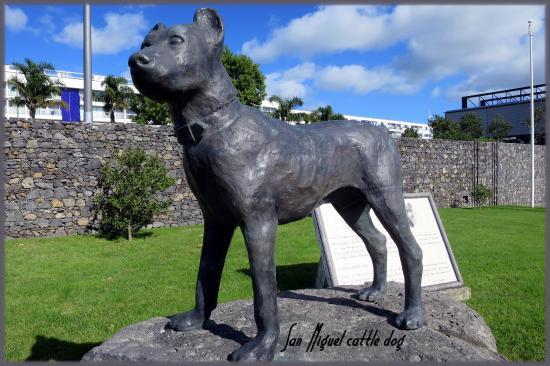 Estátua de Cão de Fila de São Miguel